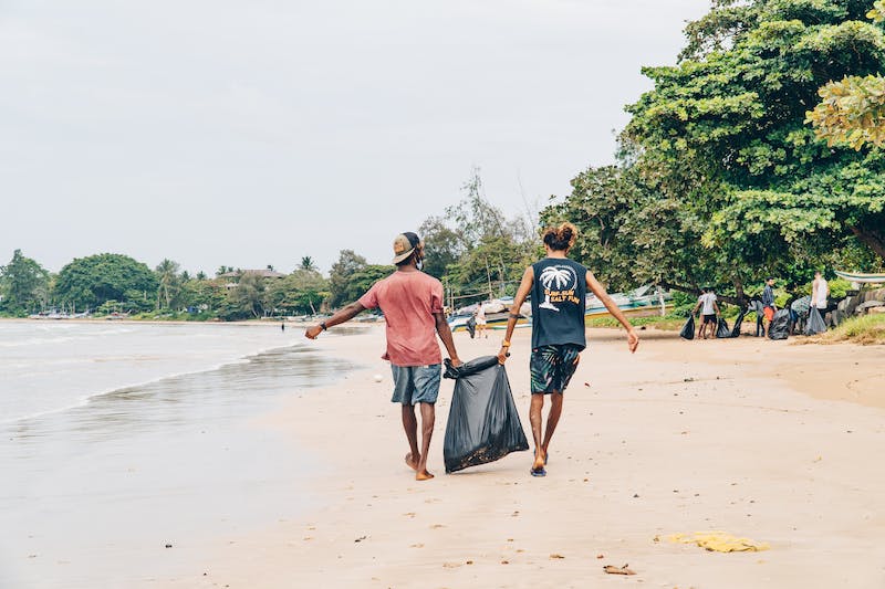 Beach cleanup