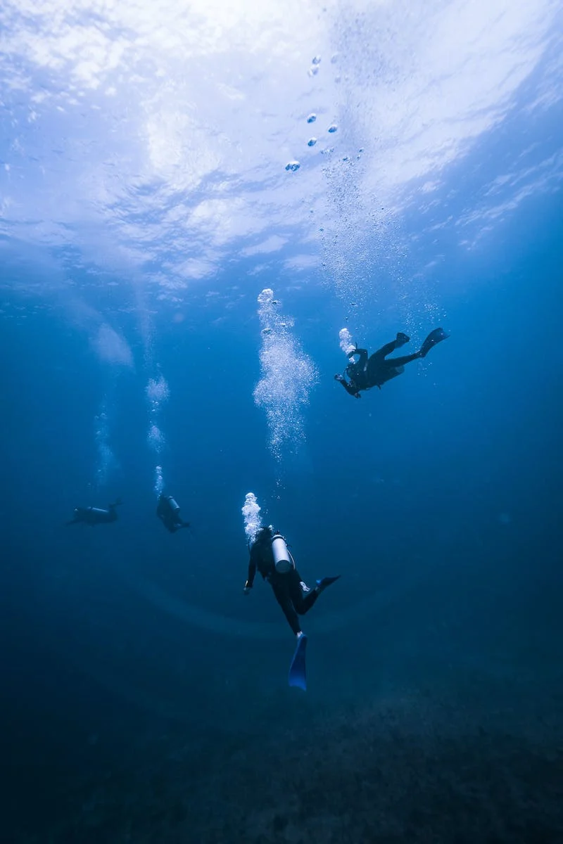 divers chilling