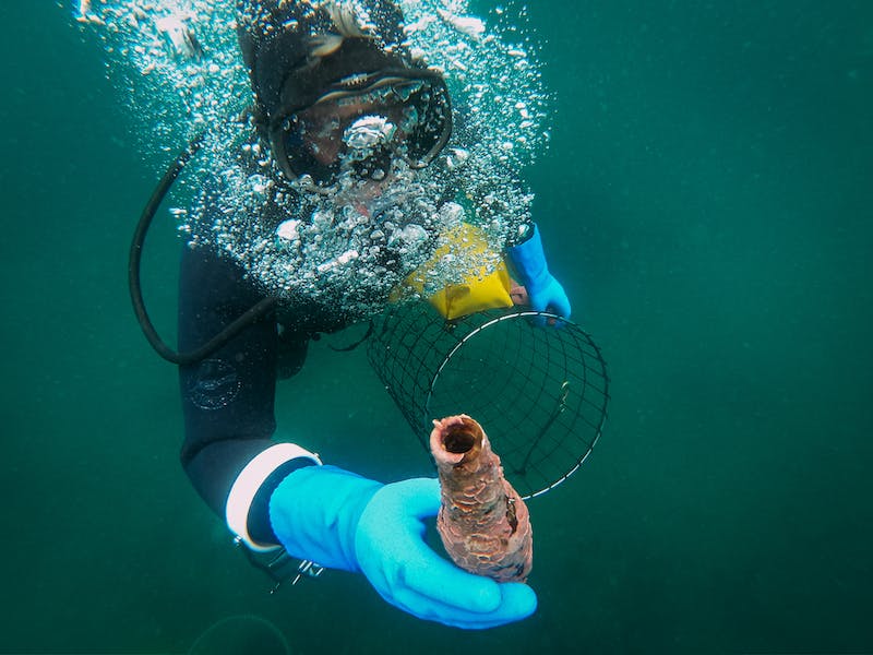 Underwater cleanup